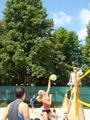 dsc04707.jpg