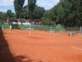 beacharena2009_019.jpg